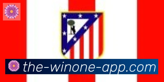 1Win体育合作伙伴